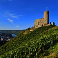 Burg Landshut