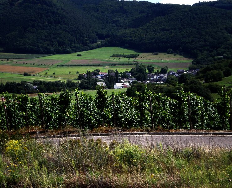 Aussicht in den Hunsrück