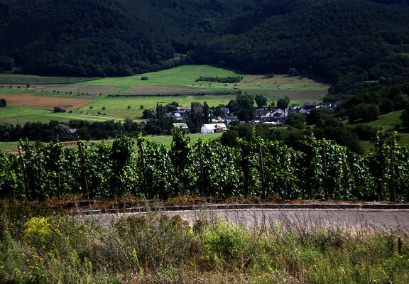 Aussicht in den Hunsrück