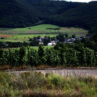 Aussicht in den Hunsrück