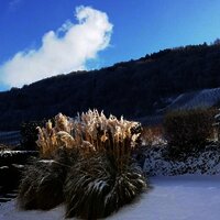 Hinter dem Feriendomizil Roussel