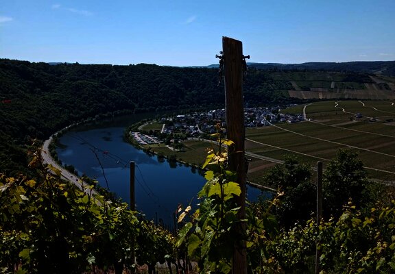 Umgebung von Wintrich Teil 1