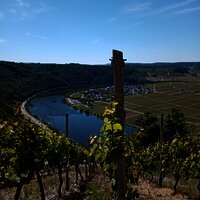 Umgebung von Wintrich Teil 1