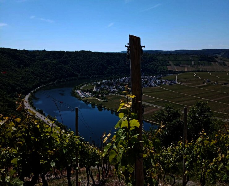 Umgebung von Wintrich Teil 1