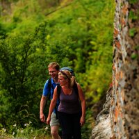 Weinbergspfad Karden