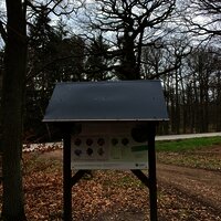 Informationstafel zum Wald