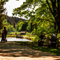 Das Bild zeigt einen idyllischen Waldweg. Ein Vater mit Kinderwagen sitz auf einer Bank. Auf dem Weg gehen zwei Frauen ebenfalls mit einem Kinderwagen.