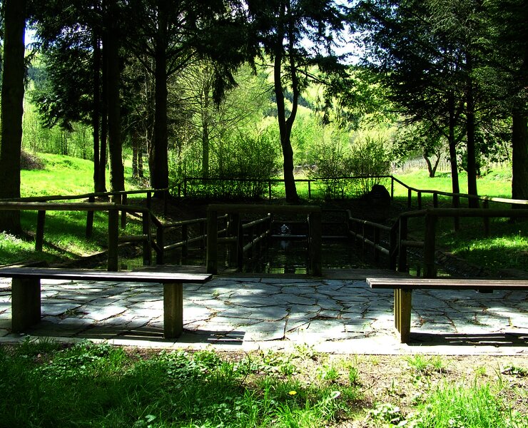 Wassertretbecken