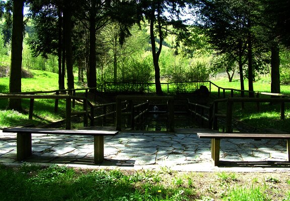 Wassertretbecken