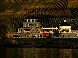 Weingut Dr. Loosen