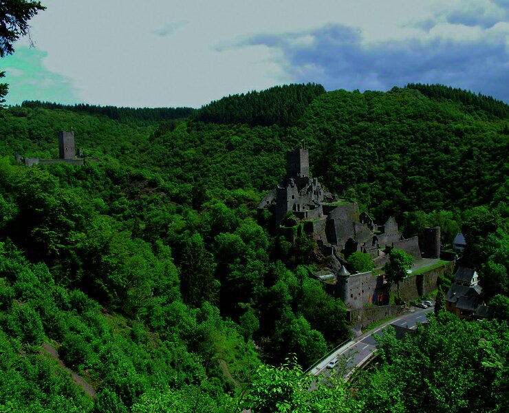 Das Bild zeigt die Manderscheider Burgen inmitten eines grünen Waldtales.