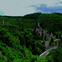 Das Bild zeigt die Manderscheider Burgen inmitten eines grünen Waldtales.