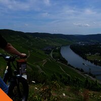 Radfahren an der Mosel durch Weinberge & entlang des Ufers