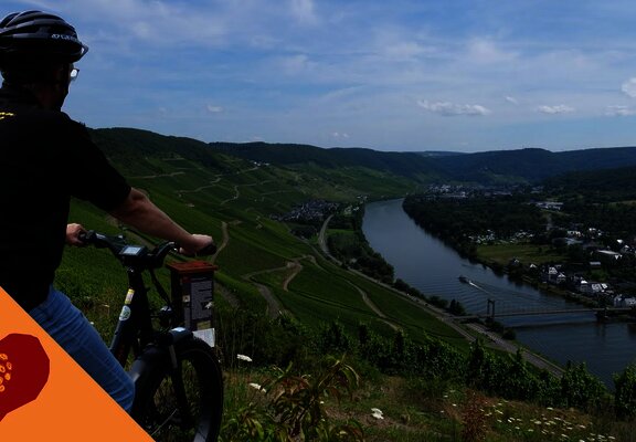 Radfahren an der Mosel durch Weinberge & entlang des Ufers