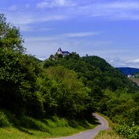 Mosel - Sehenswürdigkeiten - Marienburg - Wanderung - Weinberge - Zeller Land