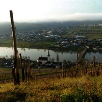 Bild Piesport aus Goldtröpfchen1