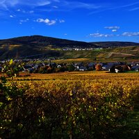 Herbst in Brauneberg