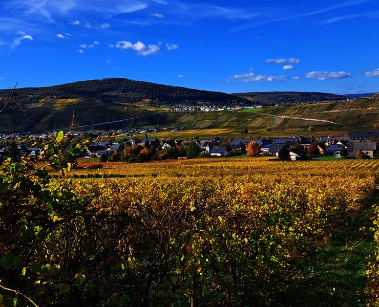 Herbst in Brauneberg