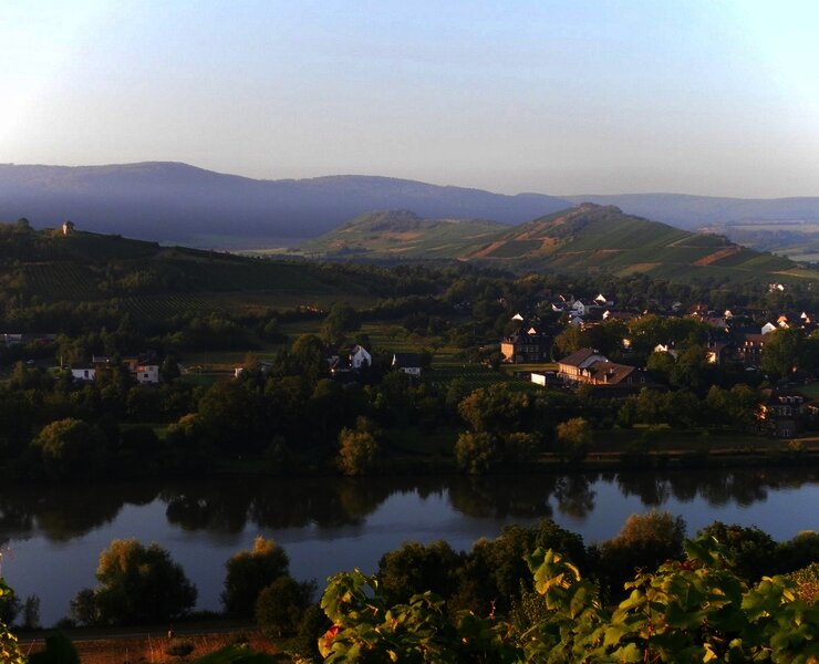 Radfahren an der Mosel in Mülheim