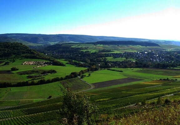 Weinberge und Wiesen von Lieser und Maring-Noviand