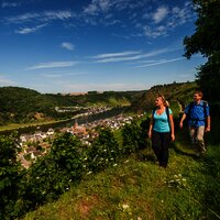 Moselsteig an der Terrassenmosel