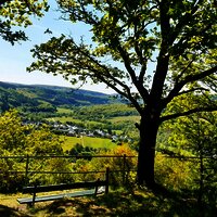 Rast mitten in der Natur