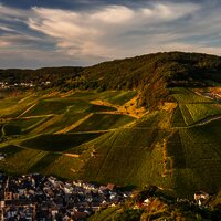 Blick auf die Weinberge bei Bernkastel-Kues