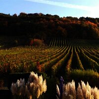 Sicht aus den Fewos in Südlage im Herbst