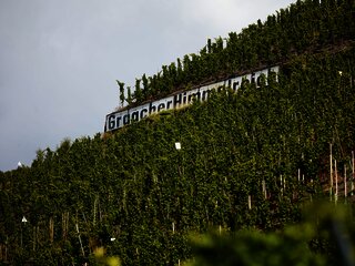 Graacher Himmelreich