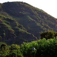 IMG_7437