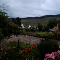 Blick zur Straße