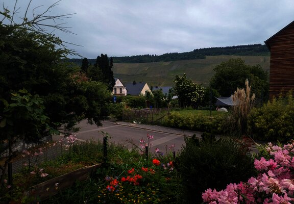 Blick zur Straße