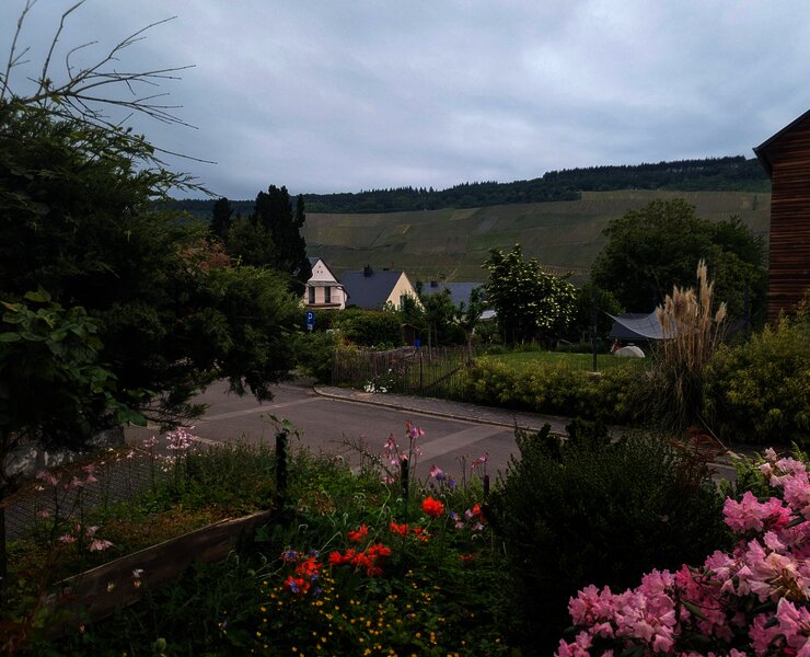 Blick zur Straße