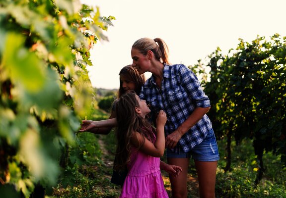Familie im Weinberg