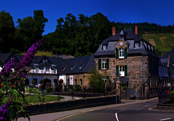 Weingut Schloss Lieser