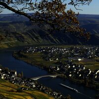 Moselweinberge bei Piesport