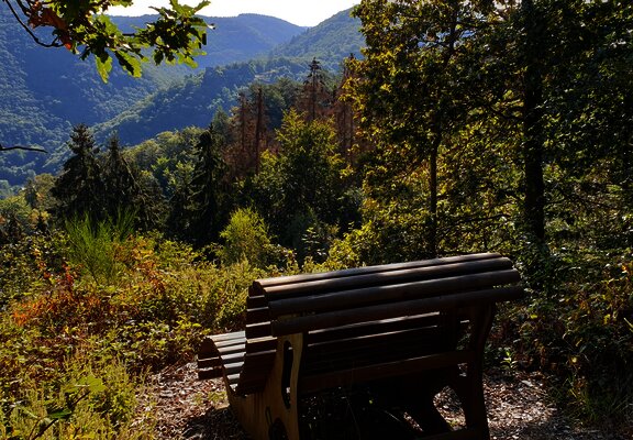 Natur pur - Rast inmitten der Wälder
