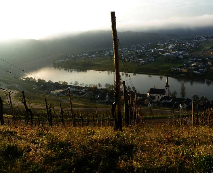 Bild aus Goldtröpfchen.1