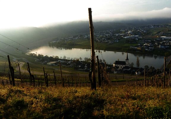 Bild aus Goldtröpfchen.1