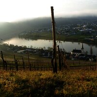 Bild aus Goldtröpfchen.1