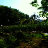 Blick auf Doline am Moselsteig