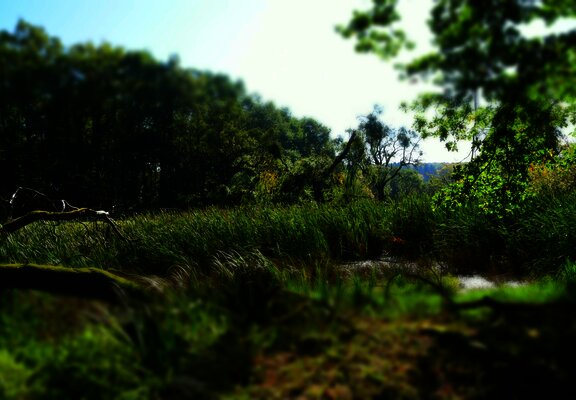 Blick auf Doline am Moselsteig