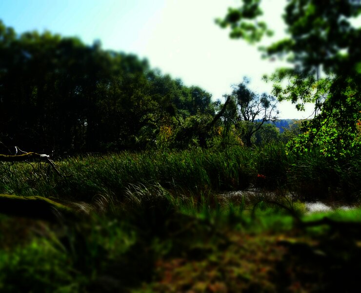 Blick auf Doline am Moselsteig