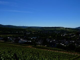 Weinberge mit Blick auf Lieser