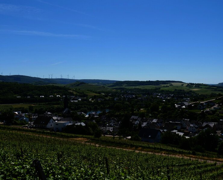 Weinberge mit Blick auf Lieser