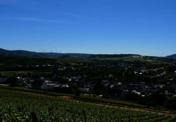 Weinberge mit Blick auf Lieser