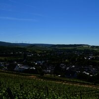 Weinberge mit Blick auf Lieser