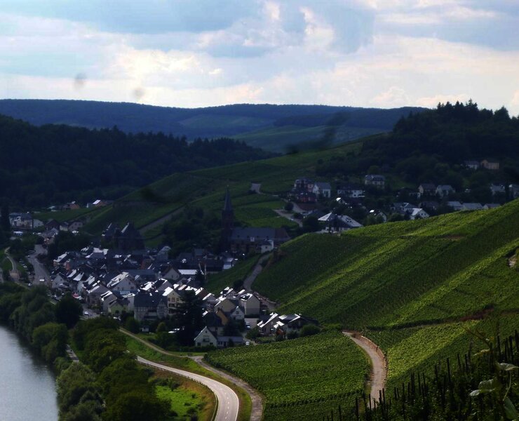 blick-auf-lieser-aus-dem-weinberg--niederberg-held