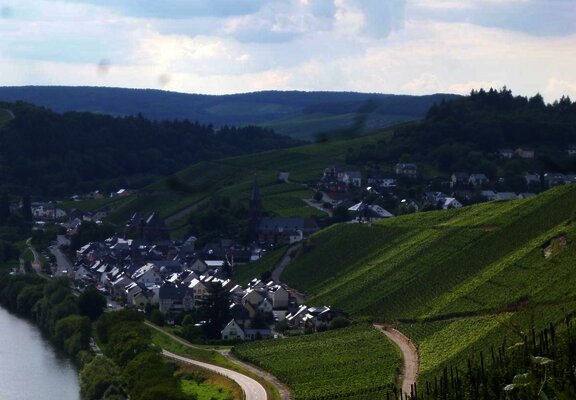 blick-auf-lieser-aus-dem-weinberg--niederberg-held