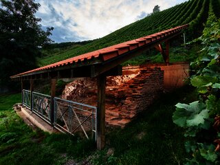 Römische Kelteranlage in Rachtig